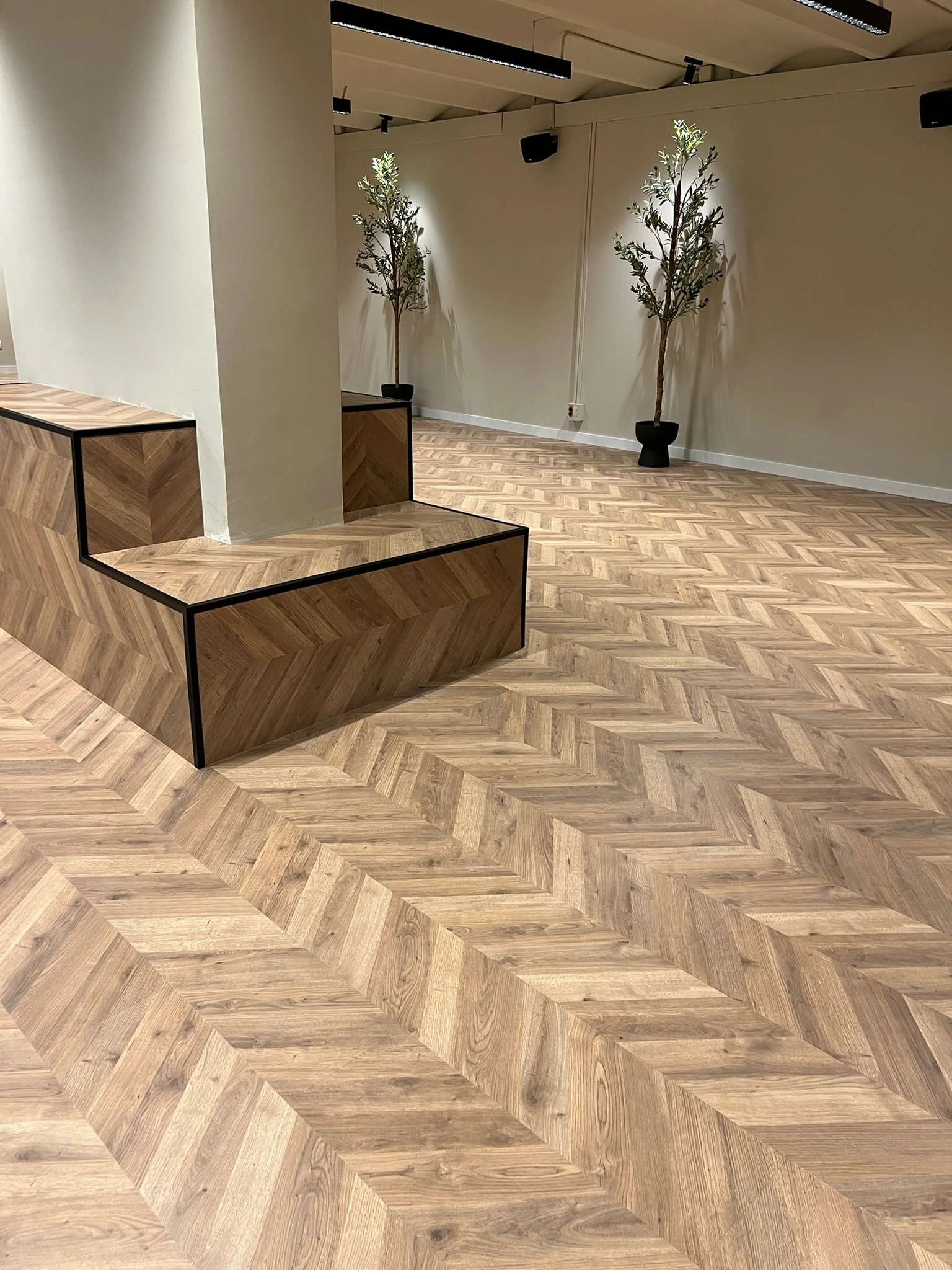 Librería Abacus Ausiàs March, vista general parquet punta de Hungría